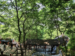 -山叶口景区