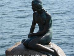 -美人鱼