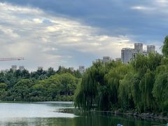 -大宁公园
