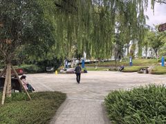 -成飞公园
