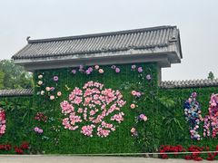 -莲花池公园