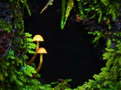 -玉渡山自然风景区