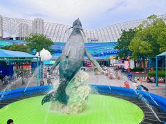 -海合安武汉极地海洋公园