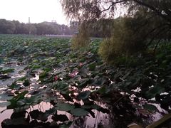 -长春市南湖公园