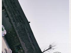 -烟墩角天鹅湖