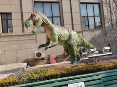 -国家自然博物馆