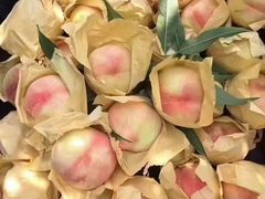 -老袁家蜜桃农场·阳山水蜜桃