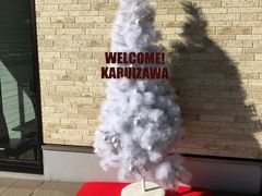 -轻井泽王子购物广场