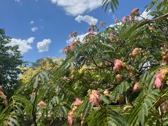 -北运河水利风景区