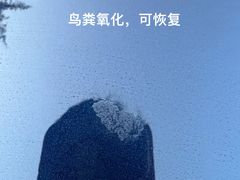 -跃通XPEL超级旗舰店(浦东店)