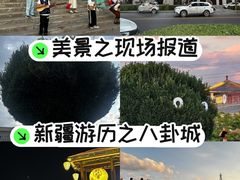 -特克斯八卦城