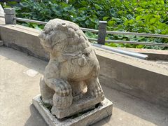 -保定市动物园