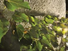 DSC_7095-01-贝轩大公馆