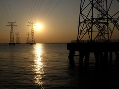 -宝安西湾红树林湿地公园