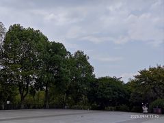 -洋湖国家湿地公园