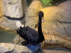 -酷嗒动物文化乐园(cutezoo西溪乐天城店)