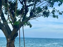 -大梅沙海滨公园