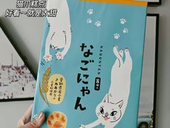 -中部国际机场
