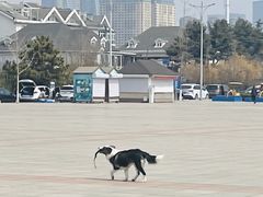 -黑石礁公园