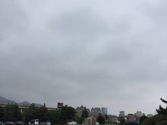 -山东外贸职业学院