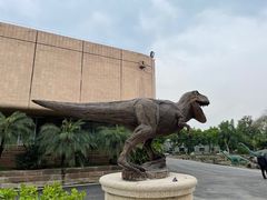 -自贡恐龙博物馆