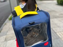-瑞鹏宠物医院·眼科·皮肤·中兽医(大悦城分院)