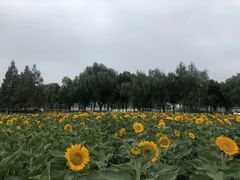 -南京医科大学(江宁校区)