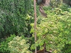 -郑州植物园