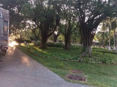 -万绿园