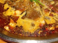 美蛙鱼头锅-红牌美蛙鱼头火锅(万辉国际广场店)