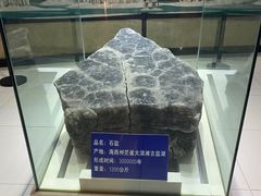 -青藏高原自然博物馆