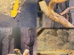 -正佳雨林生态植物园