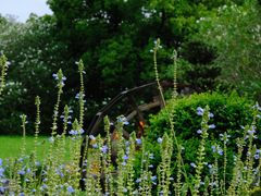 -上海共青森林公园