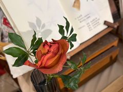 -知物癖(牛王庙店)