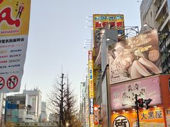 -秋叶原电器街