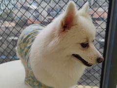 -怪兽屋·羊驼·猫咖·狗咖(俊华广场店)