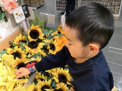 -宜家家居(哈尔滨商场店)