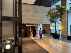 -新加坡乌节希尔顿酒店 (SG Clean)