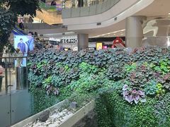 -凯德广场(学府店)