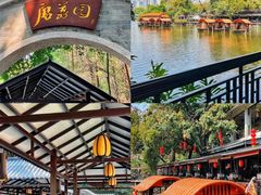 -侨美·唐荔园·40年地道粤菜