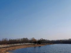 -东郊湿地公园