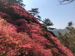 -木兰云雾山