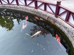 -香麒园·过桥米线·南湖雅宴