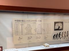 -临沂市博物馆