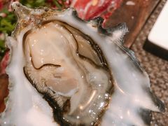 -斯普汇生蚝牛排馆(中骏世界城店)