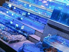 -青蓬蒸汽海鲜·深圳老字号·团建聚会(壹方城店)