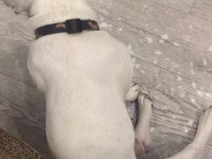-小时光咖啡馆(北锣鼓巷店)