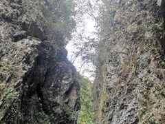 -夏霖九天银瀑风景区
