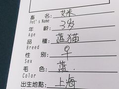 -申普宠物医院·心脏介入·心血管微创(总院)