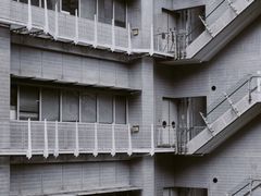 -香港大学